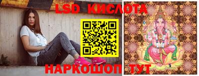 амф Бийск