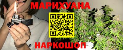 амф Бийск