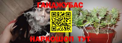 амф Бийск