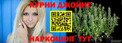амф Бийск